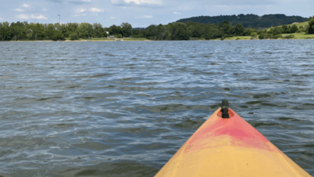The Nature Fix