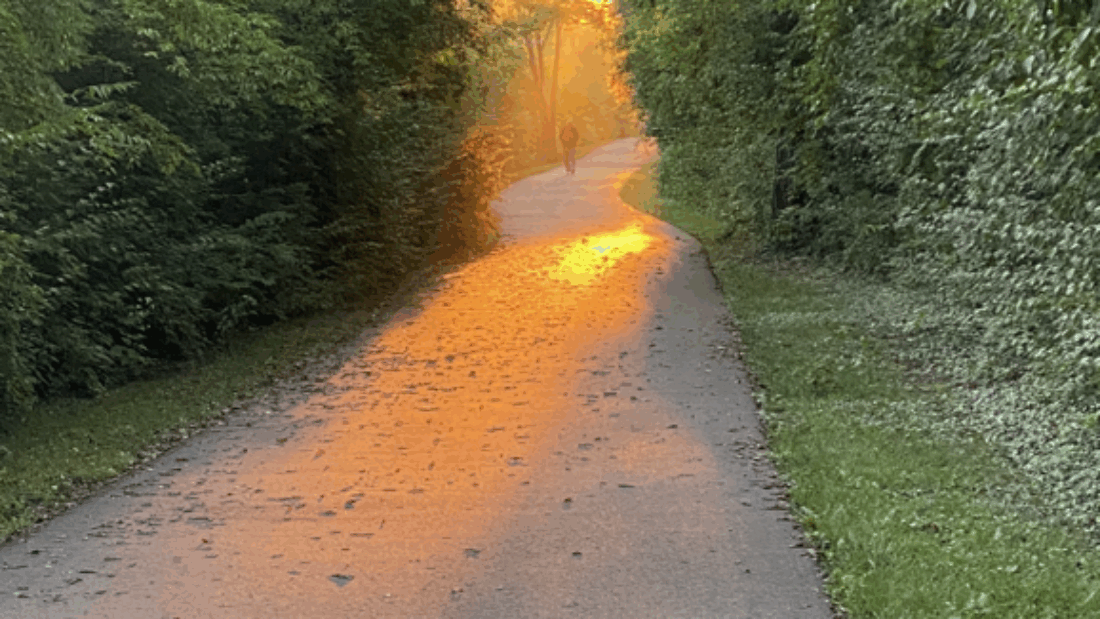 Morning Run