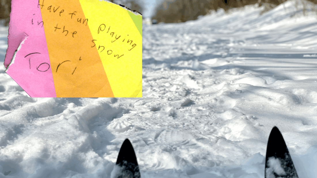 Snow Post