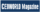 graphic of CEOWORLD magazine logo